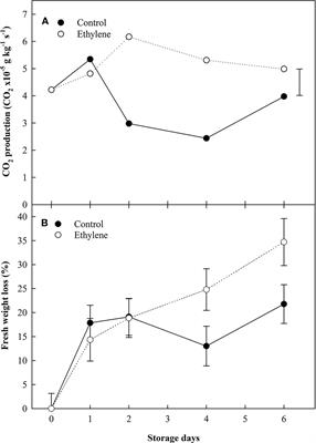 Continuous Exposure to Ethylene Differentially Affects Senescence in Receptacle and Achene Tissues in Strawberry Fruit